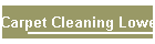 Carpet Cleaning Lower Templestowe.htm